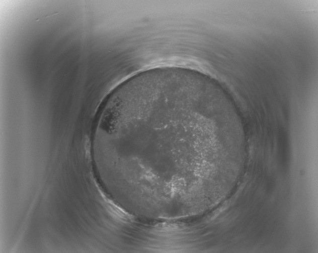 X0000068771505200605051618