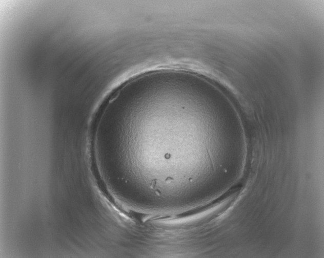 X0000068771506200605051618