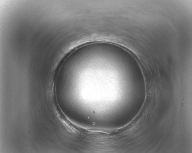 X0000068771507200605051618