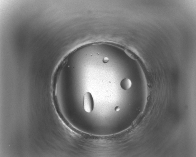 X0000068771508200605051618