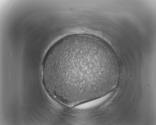 X0000068771509200605051618