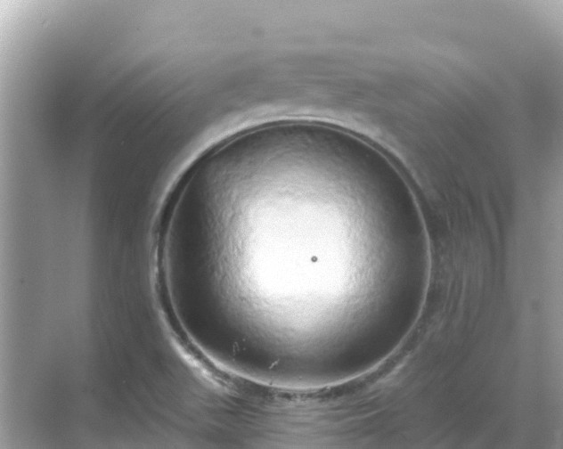 X0000068771511200605051618