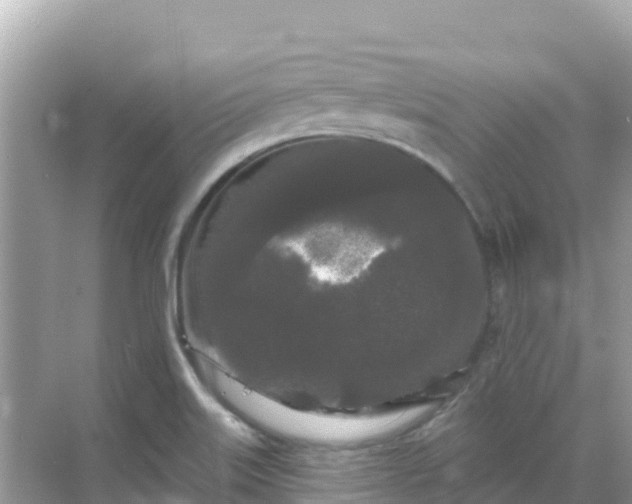 X0000068771515200605051618