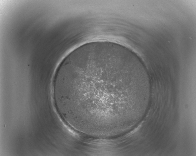 X0000068771517200605051618