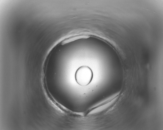 X0000068771518200605051618