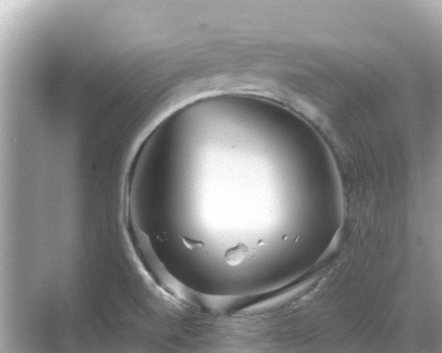 X0000068771520200605051618