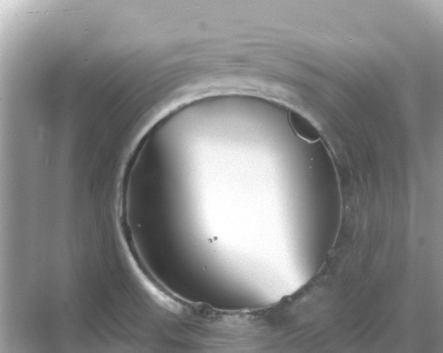 X0000068771523200605051618