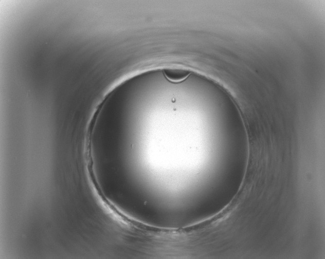 X0000068771526200605051618