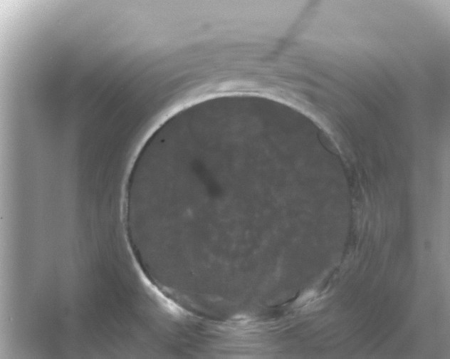 X0000068771527200605051618