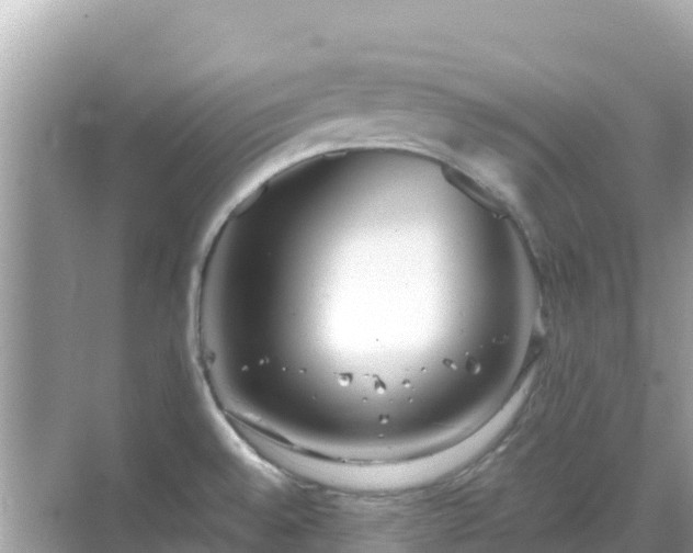 X0000068771528200605051618