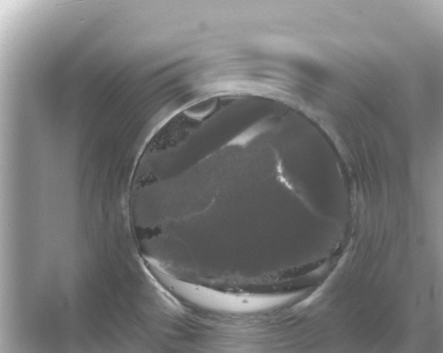 X0000068771529200605051618