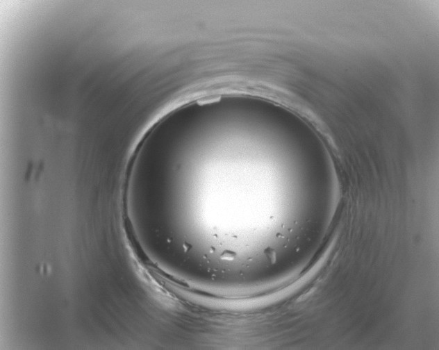 X0000068771530200605051618