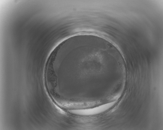 X0000068771533200605051618