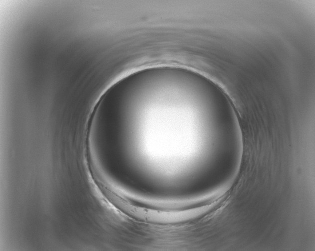 X0000068771534200605051618