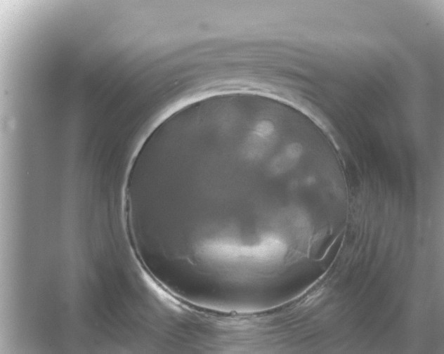 X0000068771535200605051619