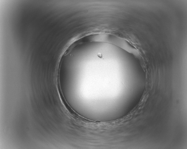 X0000068770003200605121714