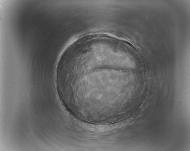 X0000068770006200605121714