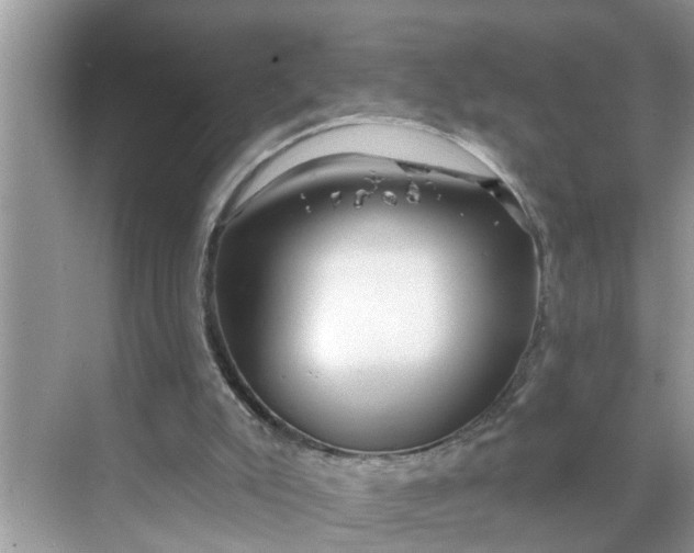 X0000068770007200605121713