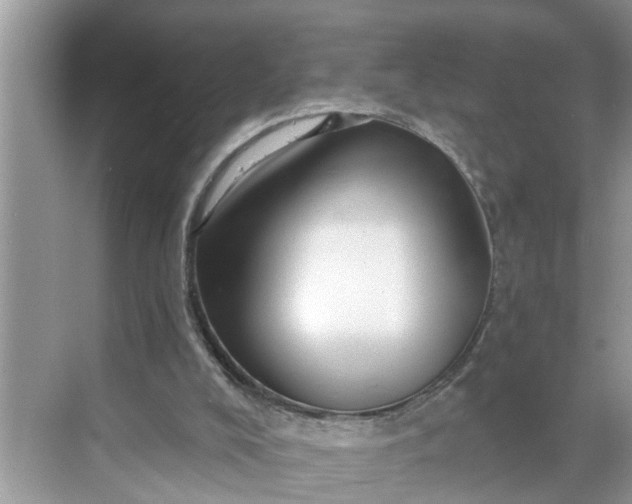 X0000068770008200605121713