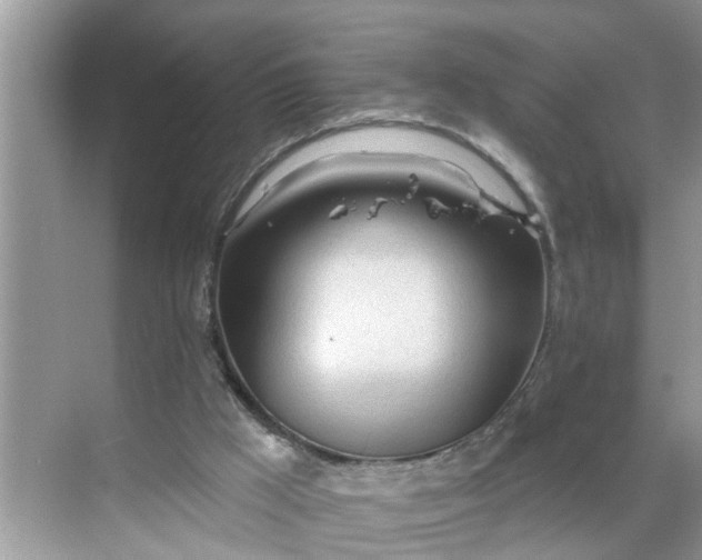 X0000068770009200605121713