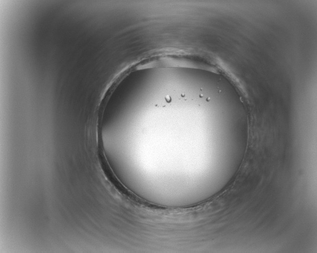 X0000068770011200605121713