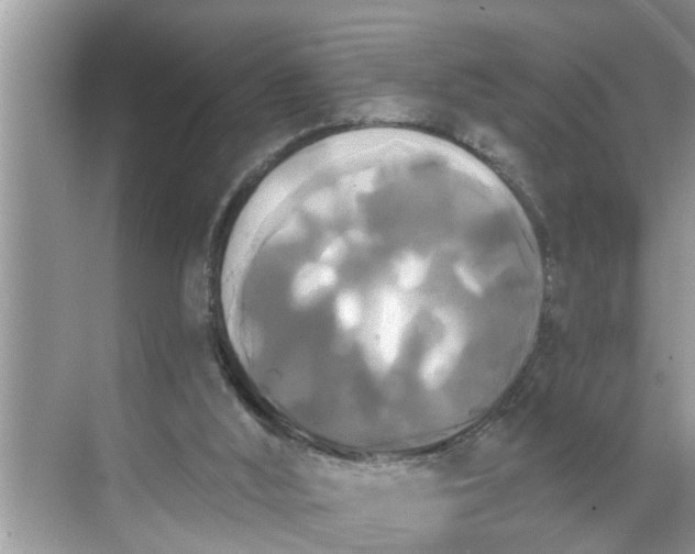 X0000068770012200605121713