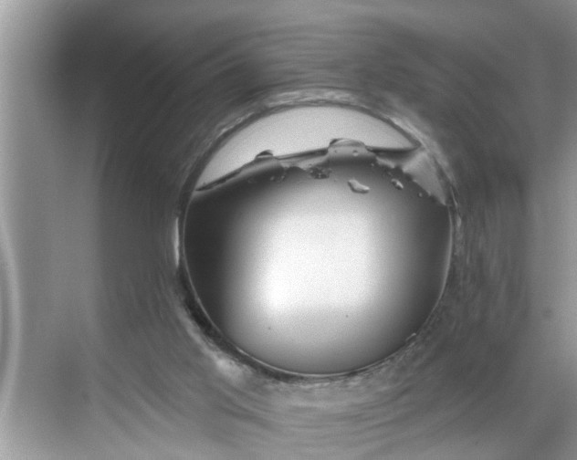 X0000068770013200605121713