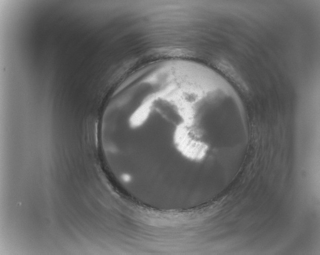 X0000068770014200605121713