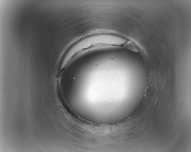 X0000068770015200605121713