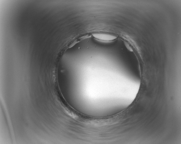 X0000068770017200605121713