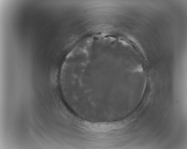 X0000068770018200605121713