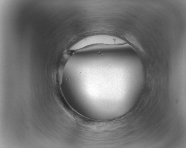 X0000068770021200605121713