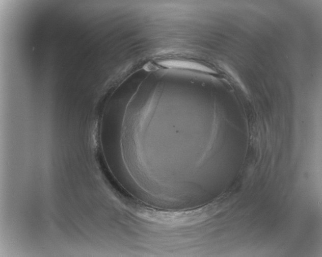 X0000068770023200605121713