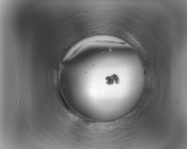 X0000068770025200605121713