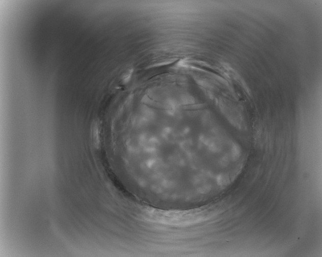 X0000068770026200605121713