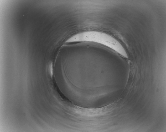 X0000068770027200605121713