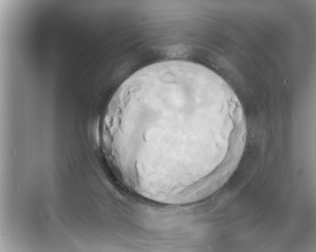 X0000068770028200605121713