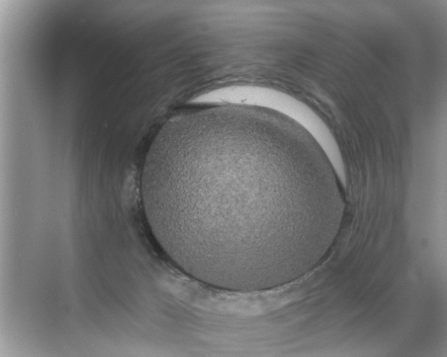 X0000068770029200605121713