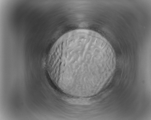 X0000068770032200605121713