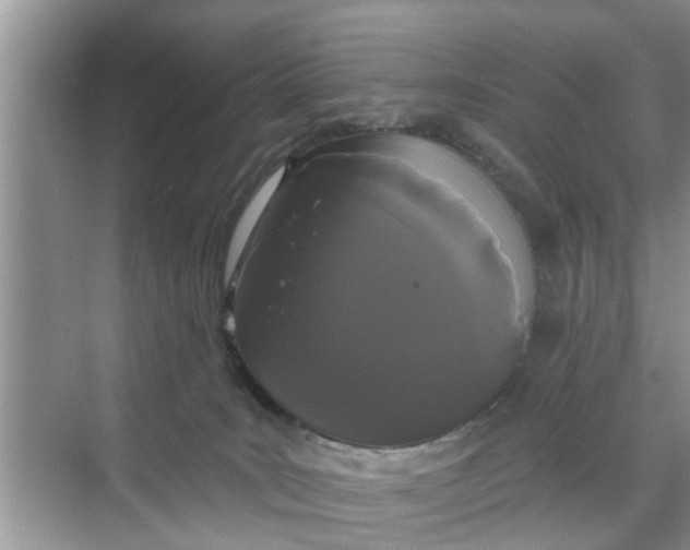 X0000068770035200605121713