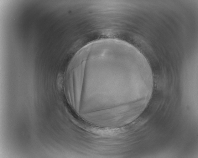 X0000068770036200605121713