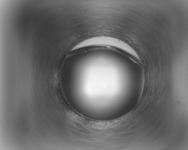 X0000068770037200605121713