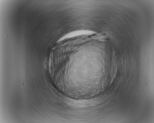 X0000068770038200605121713