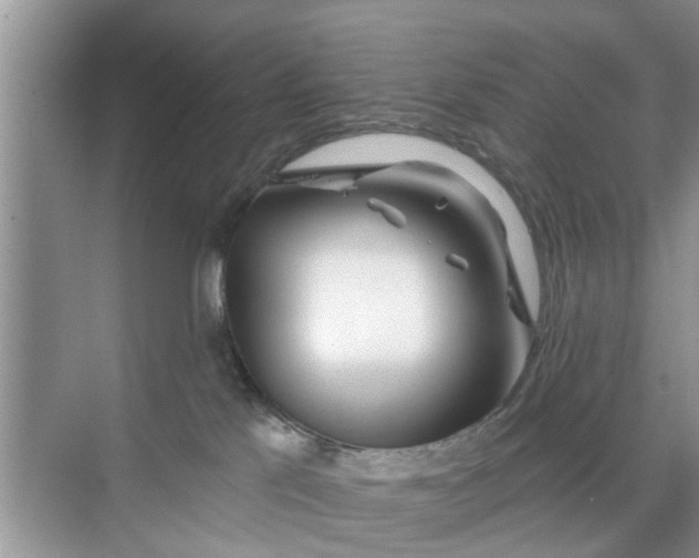 X0000068770041200605121713