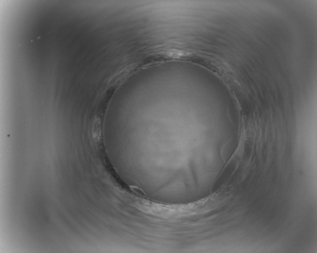 X0000068770043200605121713