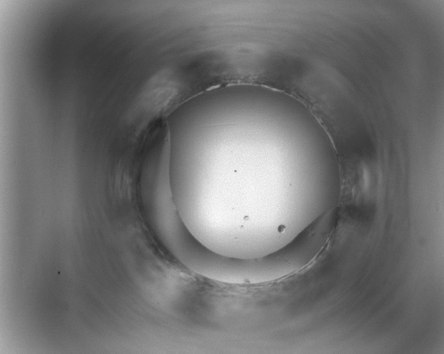 X0000068770045200605121713