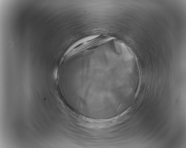 X0000068770047200605121713