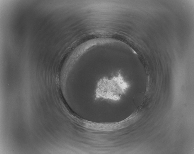 X0000068770048200605121713