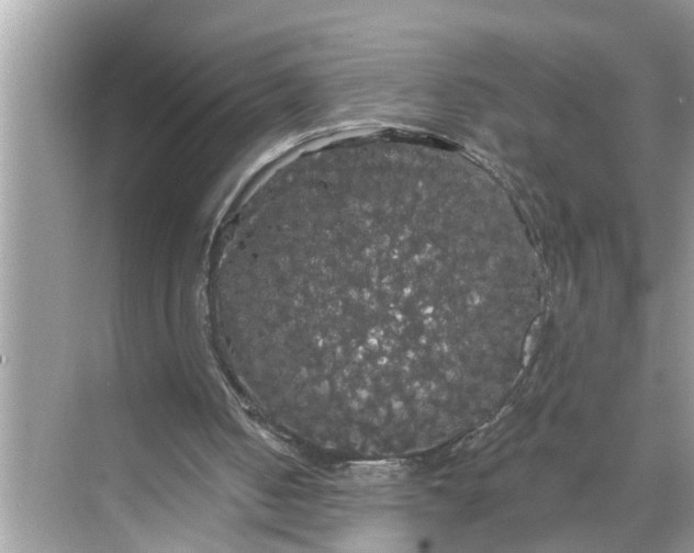 X0000068770050200605121712