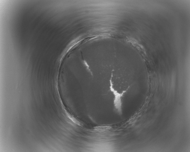 X0000068770051200605121712